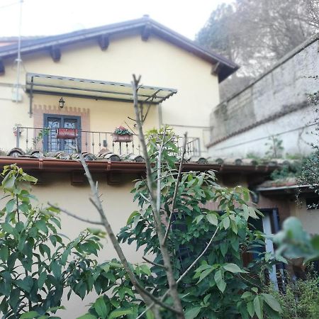Il Pettirosso Villa Cesano ภายนอก รูปภาพ